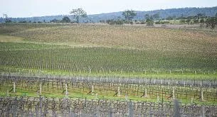 clovely australia